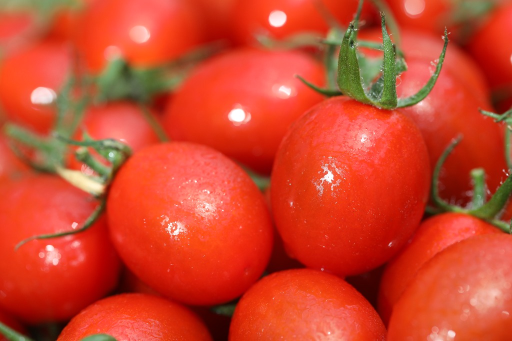 田原市の個人農家から産地直送でお届け！新鮮なミニトマトや青パパイヤなら当園へ